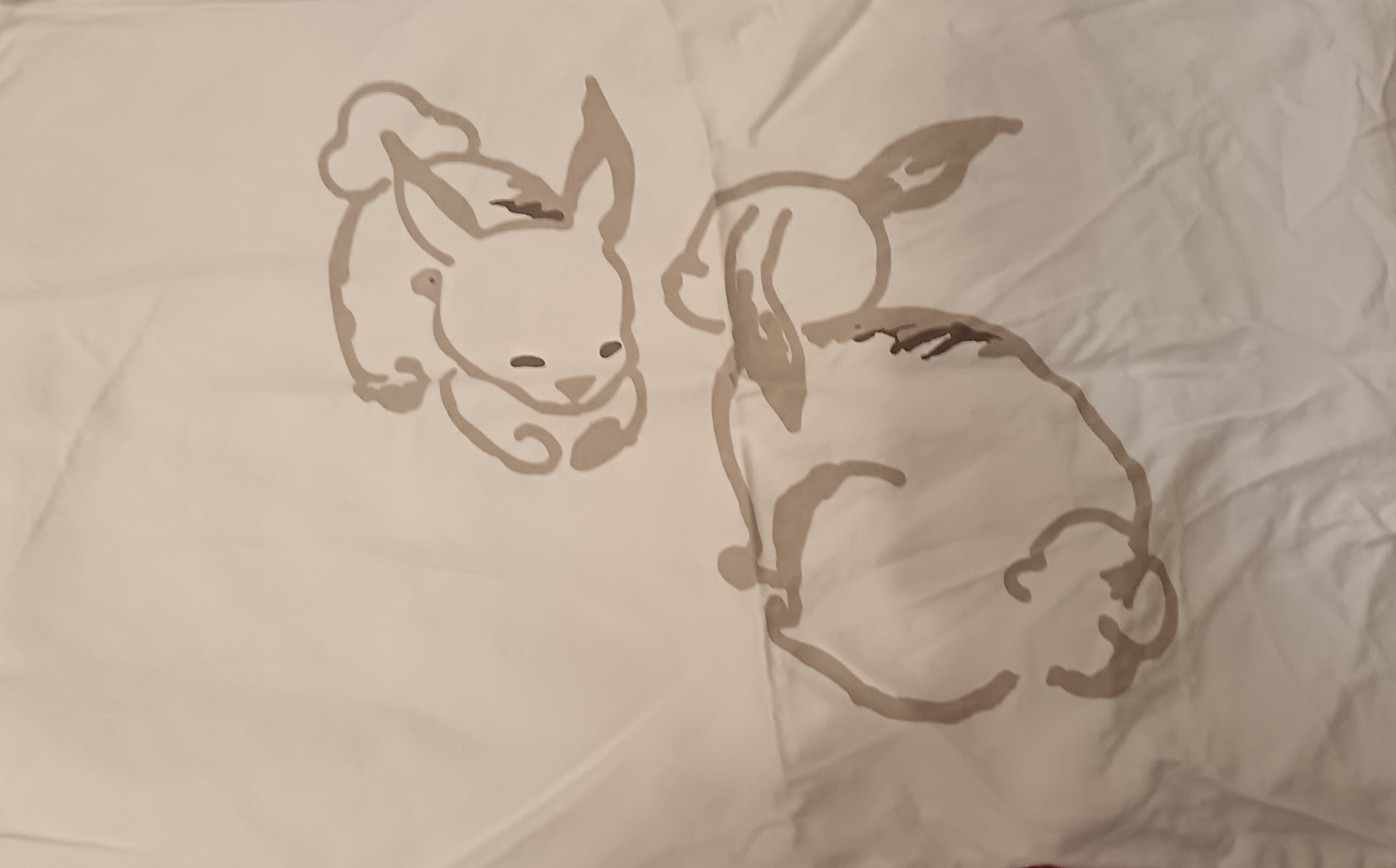 Housse De Couette + Taie "Ikea"